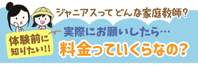 実際にお願いしたら、料金っていくらなの?
